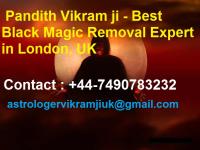 Pandith Vikram ji - Famous Indian Vedic Astrologer image 10